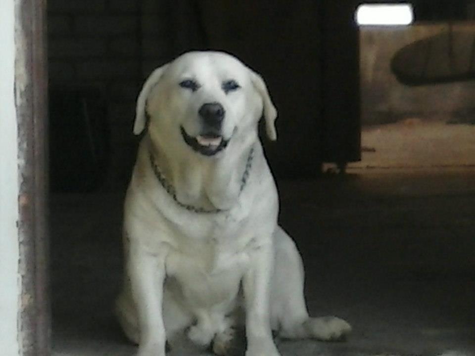 hesi1